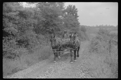 0742_Black-Americans driving  a  horse drawn wagon , unknown location