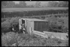 0771_Probably Sharecroppers, West Virginia