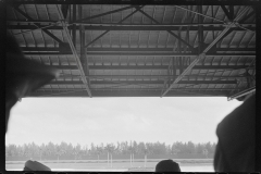 0788_Hores racing , Hialeah Park ,