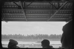 0789_Hores racing , Hialeah Park ,