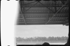 0790_Hores racing , Hialeah Park ,