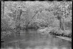 0885_Tranquil river scene , possibly Au  Sable river, Michigan