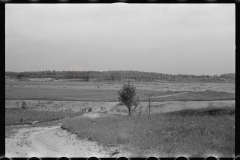 0887_Possibly river back water , unknown activity or location