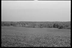 0889_Large expanse of agricultural land , unknown location