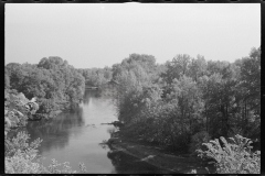 0894_Tranquil river scene , possibly Au  Sable river, Michigan