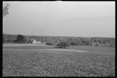 0896_Large property , deciduous  woodlands , unknown location