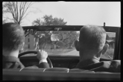 0941_Driving in open top car