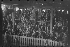 1038_ Livestock Auction , Reedsville, West Virginia