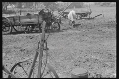 1048__Random old farm machinery and steer , probably Ohio