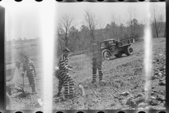 1130_Convicts grading the road , Jefferson County , Alabama