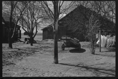 1170_Large barns on a farm property , probably Massachusetts