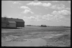 1171_Open farming landscape , unknown location