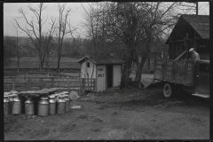 1186_'Men only' privy , dairy farm .   Unknown location