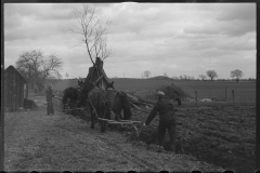 1221_Traditional ploughing with a pair of horses, location unknown