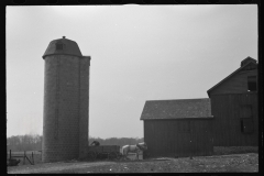 1261_Farmer  horse drawn cart , Tomkins County , New York