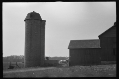 1262_Farmer  horse drawn cart , Tomkins County , New York