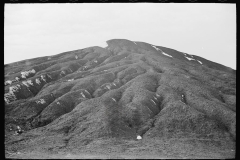 1295_Spoil heap , possibly Herrin , Illinois