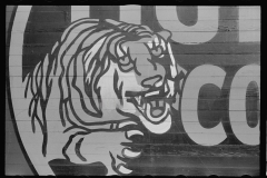 1328_Tiger advertising logo painted on wall ,