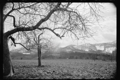 1377_Distant snowy landscape , probably New Jersey