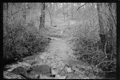 1384_ River with brushwood,  unknown location