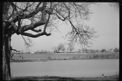 1421_Possibly agricultural land beside an  unknown creek / pond