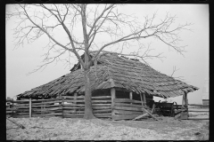 1459_Tumbledown , farm equipment store , unknown location