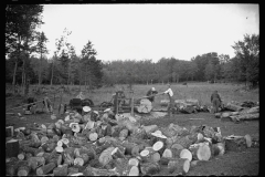 1495_Cutting logs for burning  , portable engine  rig, unknown location