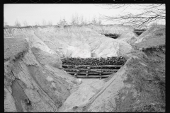 01588_Erosion control Coalins Forest , Western Kentucky