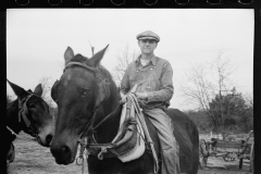 01599_Unknown farmer with horses, unknown location