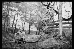 1614_Young boys climbing trees , unknown location