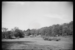 1674_Wagon of hay; hay-making  , Vermont