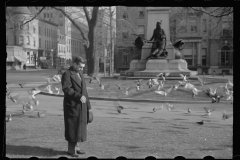 1701_Unknown  statue and square  Washington DC