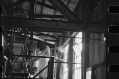 1766_ Juicers in the grapefruit canning plant at Winter Haven, Florida.