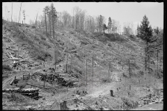 1791_logging on hillside nr