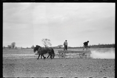 1808_ Possibly spreading  fertiliser , unknown farm or location