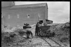 1817_Possible source of fertiliser for plant , probably Vermont