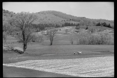 1822_Ploughing alongside open ground , location unknown