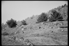 1843_Rocky sloping terrain with adjoining forestation, location unknown