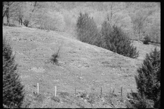 1846_Sloping ground with adjoining forestation, location unknown