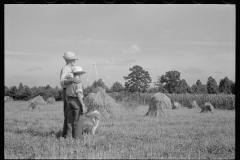 1866_Stooks of (possibly) hay , farmer with son , unknown location.