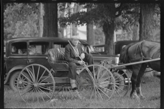 1884_Elegant two seater horse drawn carriage , unknown location