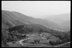 1938_ Elevated view of timber clearing for construction, unknown location