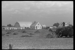 1979_Hay making , field close to homestead with large barn,