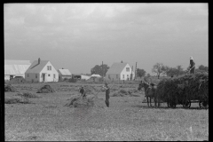 1980_Hay making , field close to homestead with large barn,