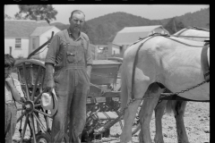 1983_Farmer with mechanical seed drill and pair of horses,