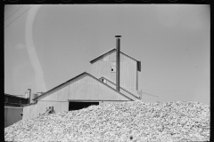 2053_Oyster pile and processing plant , New Jersey