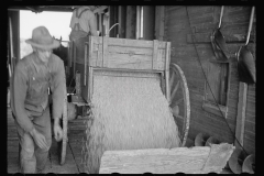 2092_Corn being  fed into shaft of grain elevator,  Gibson City, Illinois