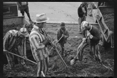 2165_Convicts working on state road, North Carolina