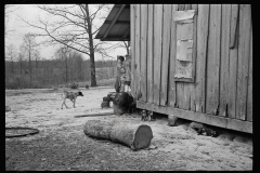 2179_Family living on Natchez Trace Project,  Lexington,  Tennessee