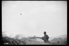 2270_Threshing, Tygart Valley, West Virginia